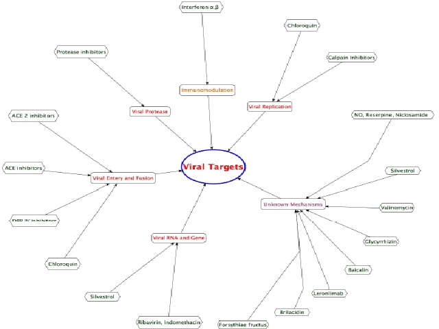 The potential viral targets.