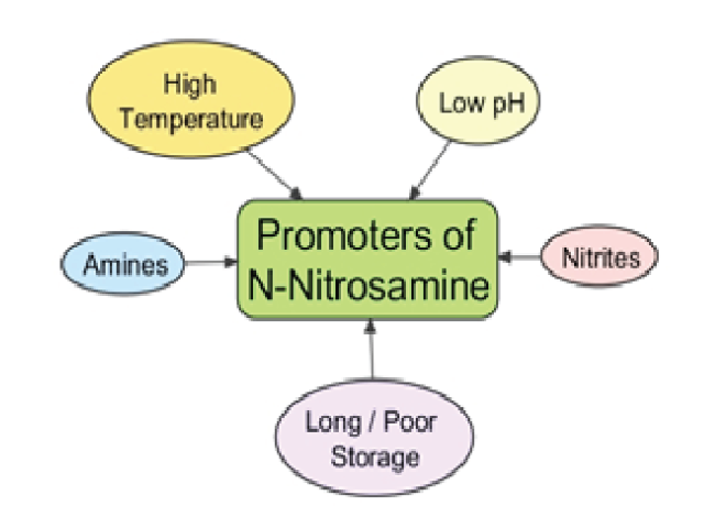 The most important factors that promote formation of N-nitrosamines (N-NA). N-NA formation increases with temperature (frying or grilling at high temperatures can increase the formation of N-NA in meat/ protein rich products).